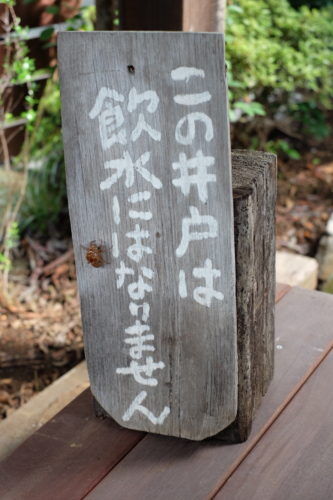 こんな場所にセミの抜け殻が・・・