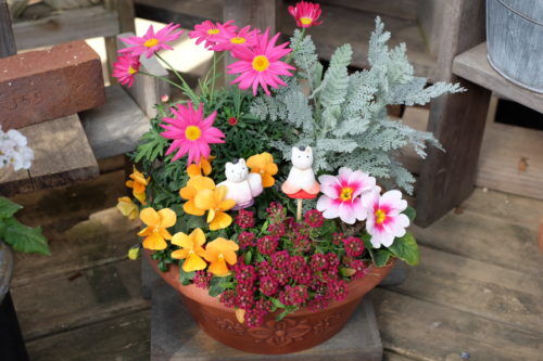 お雛さまのピックで、ひなまつりの飾り付け。お花も可愛く寄せ植えに。