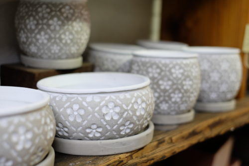 春に向けて新しい鉢で植物を。陶器やブリキの鉢、インテリア雑貨も入りました。
