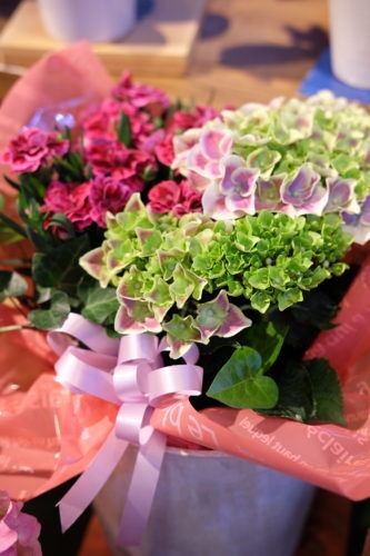 母の日ギフト承っております。園芸好きなお母様には、植え替えのできる花苗の寄せかごも。