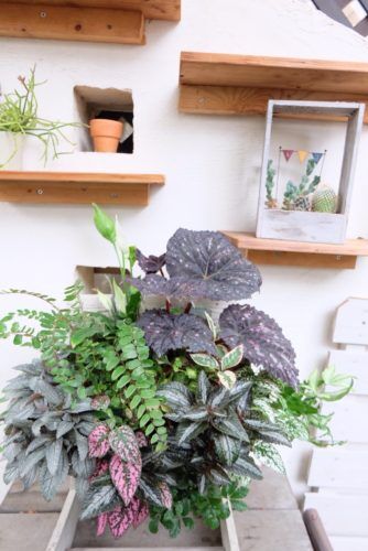 スタッフが寄せ植えもお作り致します！