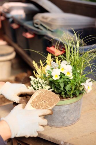 お好きな植物で、寄せ植えお作り致します。