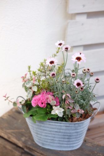 3月3日ひな祭りにお花のギフトを。