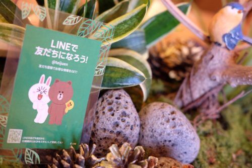 10月24日〜11月3日まで！LINEクーポン配信中！