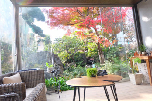 カフェ日本庭園の真っ赤なモミジ！