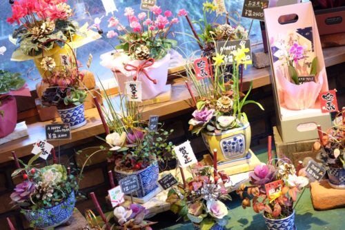 年末年始のお花ご用意しています