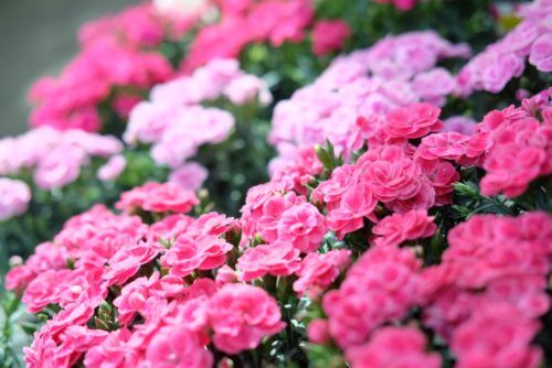 4月29日〜5月5日まで春のSALE期間中!!