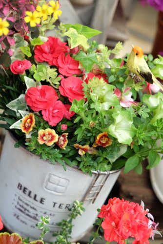 5月9日(日)は母の日！お花のギフトご用意しています！