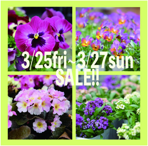 3/25(金)〜3/27(日)限定SALE！