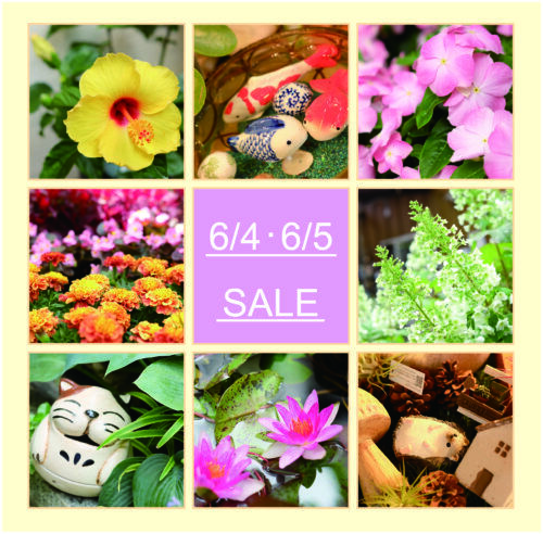 6月4日(土)・5日(日)は月イチSALE‼︎