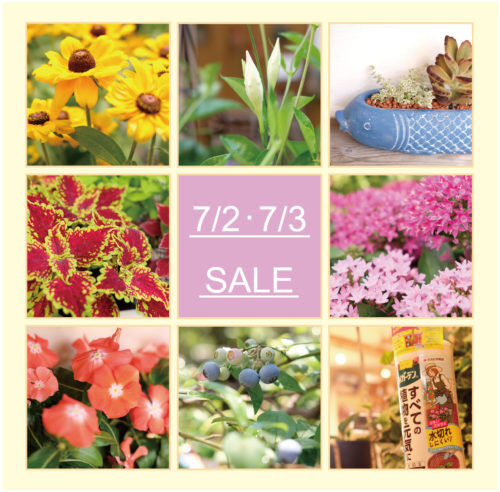 7月2日(土)・3日(日)は月イチSALE!!