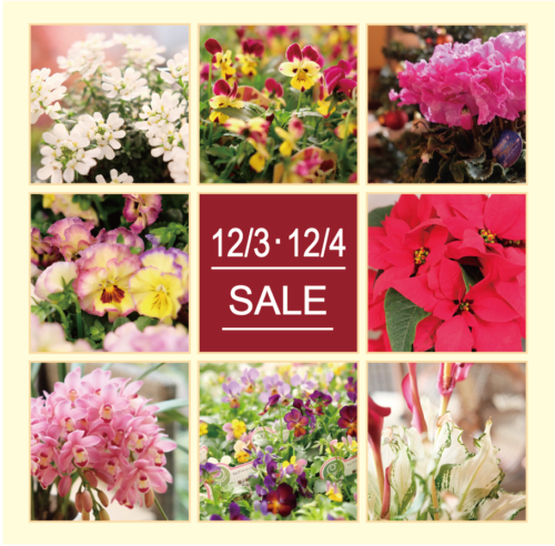 12月3日(土)・4日(日)は月イチSALE！！