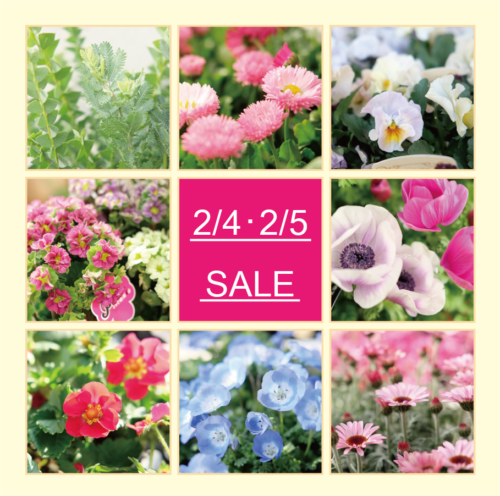 2月4日(土)・5日(日)は月イチSALE！！