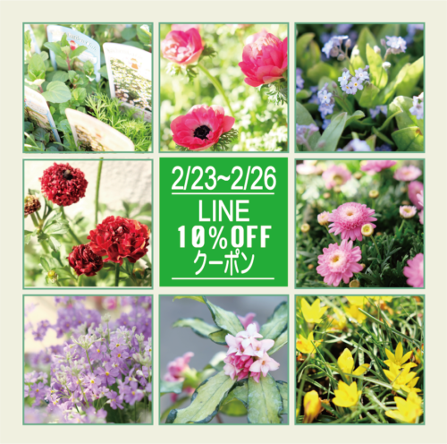 2月23日〜26日LINE限定10％OFFクーポン配信中！