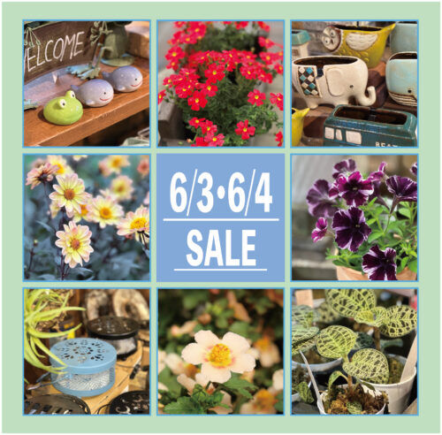 6月3日(土)・4日(日)は月イチSALE！！