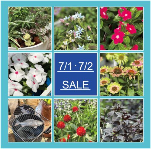 ７月１日(土)・２日(日)は月イチSALE！！