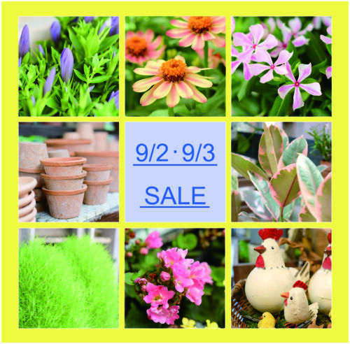 9月２日(土)・3日(日)は月イチSALE！！