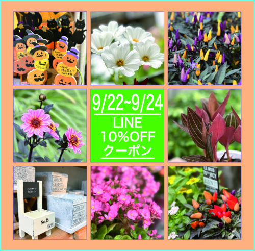 9月22日〜24日LINE限定10％0FFクーポン配信！