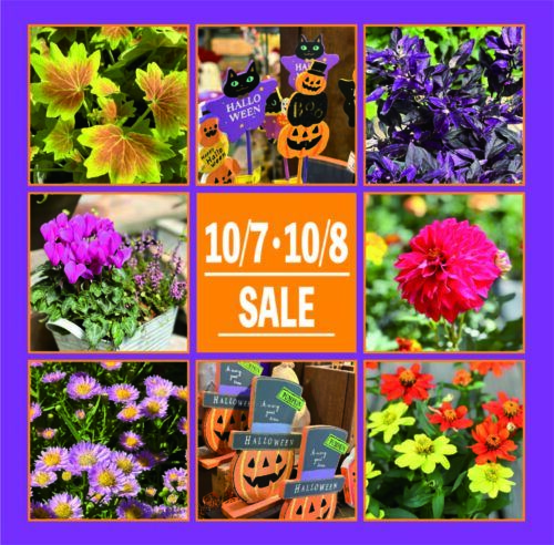 10月7日(土)・8日(日)は月イチSALE！！