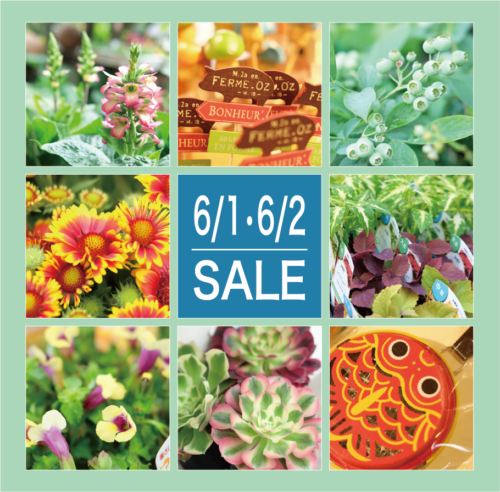 6月1日(土)・2日(日)は月イチSALE！！