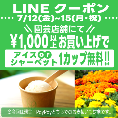 7月12日(金)～15日(月･祝)LINEクーポン★1,000円以上お買い上げでアイスorシャーベット1カップ無料！