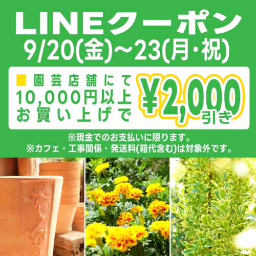 9月20日(金)～23日(月･祝)LINEクーポン★10,000円以上お買い上げで2,000円引き！