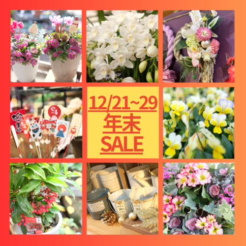12/21(土)〜12/29(日)は年末売り尽くしSALE！！
