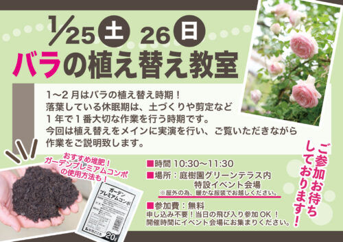 1月25日(土)・26日(日)はバラの植え替え教室