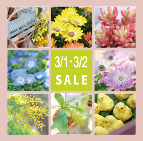 3月1日(土)・2日(日)は月イチSALE！！