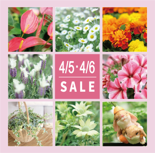 4月5日(土)・6日(日)は月イチSALE！！