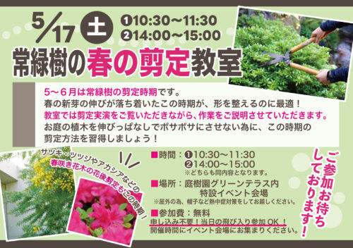 5月17日(土)は常緑樹の春の剪定教室