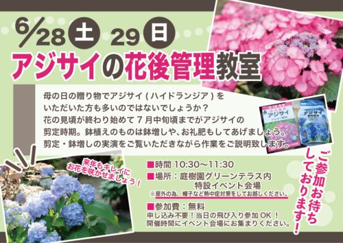 6月28日(土)・29日(日)はアジサイの花後管理教室