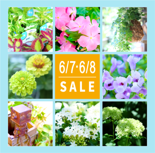 6月7日(土)・8日(日)は月イチSALE！！