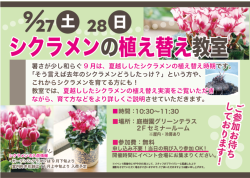 9月27日(土)・28日(日)はシクラメンの植え替え教室