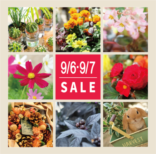 9月6日(土)・7日(日)は月イチSALE！！
