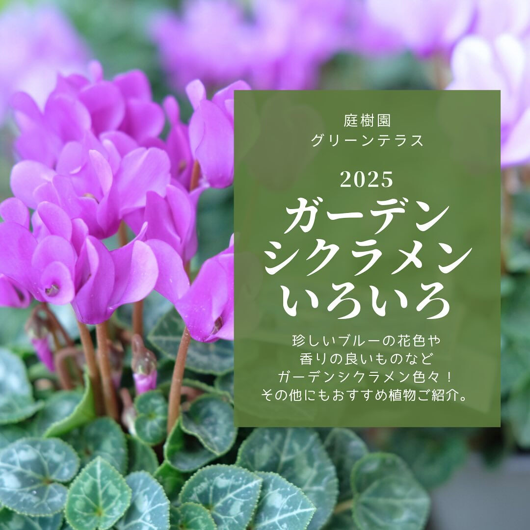 すっかり長袖で過ごす季節になりましたね