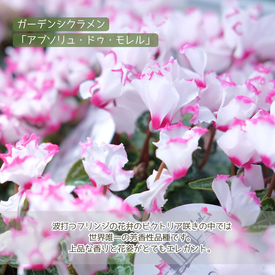 すっかり長袖で過ごす季節になりましたね