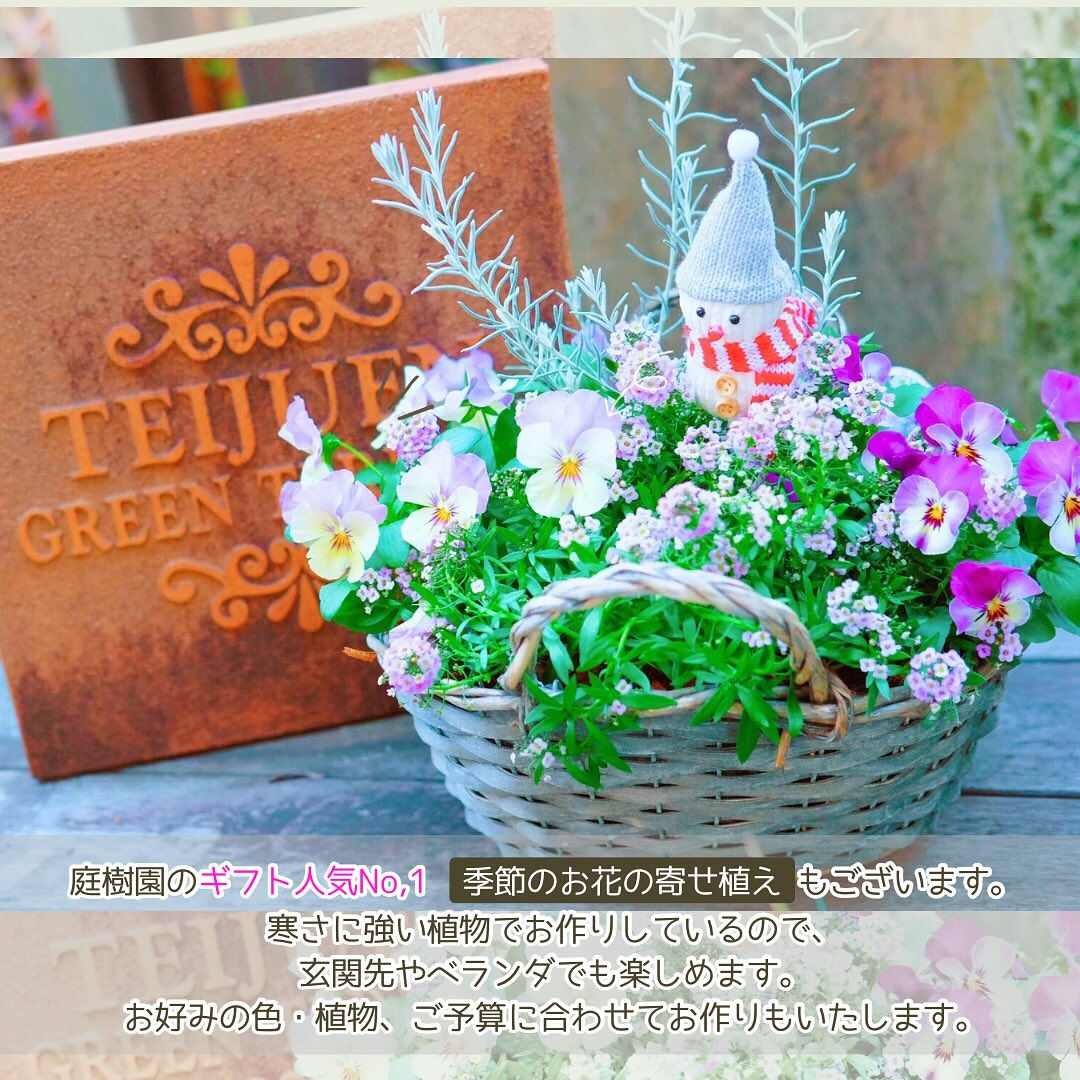 お歳暮やクリスマスなどのウィンターギフトにお花を贈りませんか
