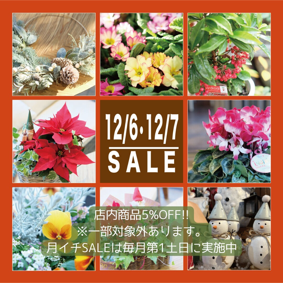 ⭐️12/6(土)・7(日)は月イチSALE⭐️