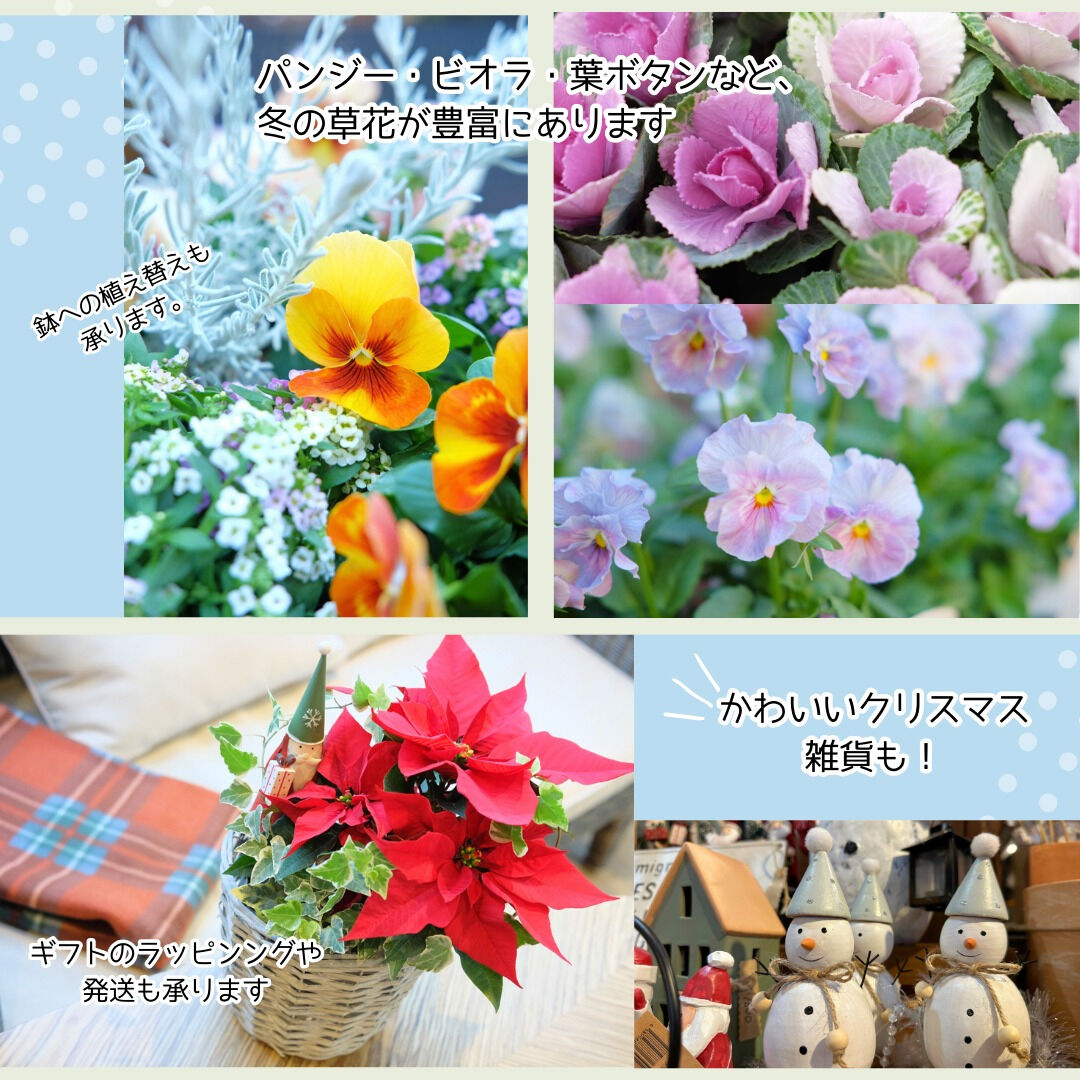 ⭐️12/6(土)・7(日)は月イチSALE⭐️