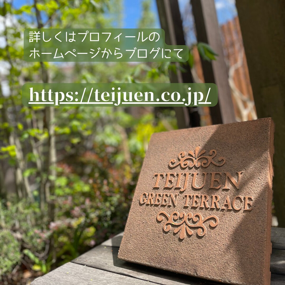 ⭐️12/6(土)・7(日)は月イチSALE⭐️