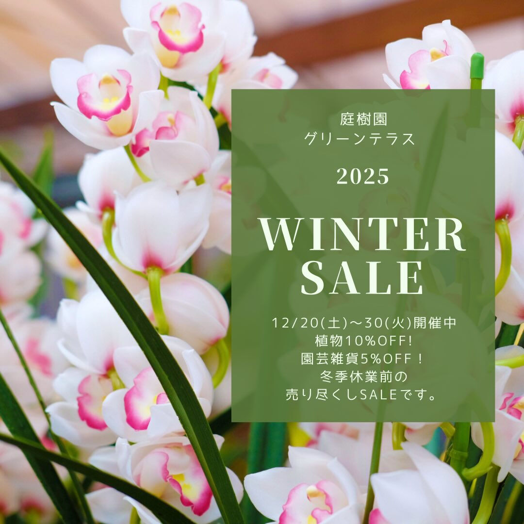 12/20(土)〜30(火)は冬の売り尽くしSALE✨