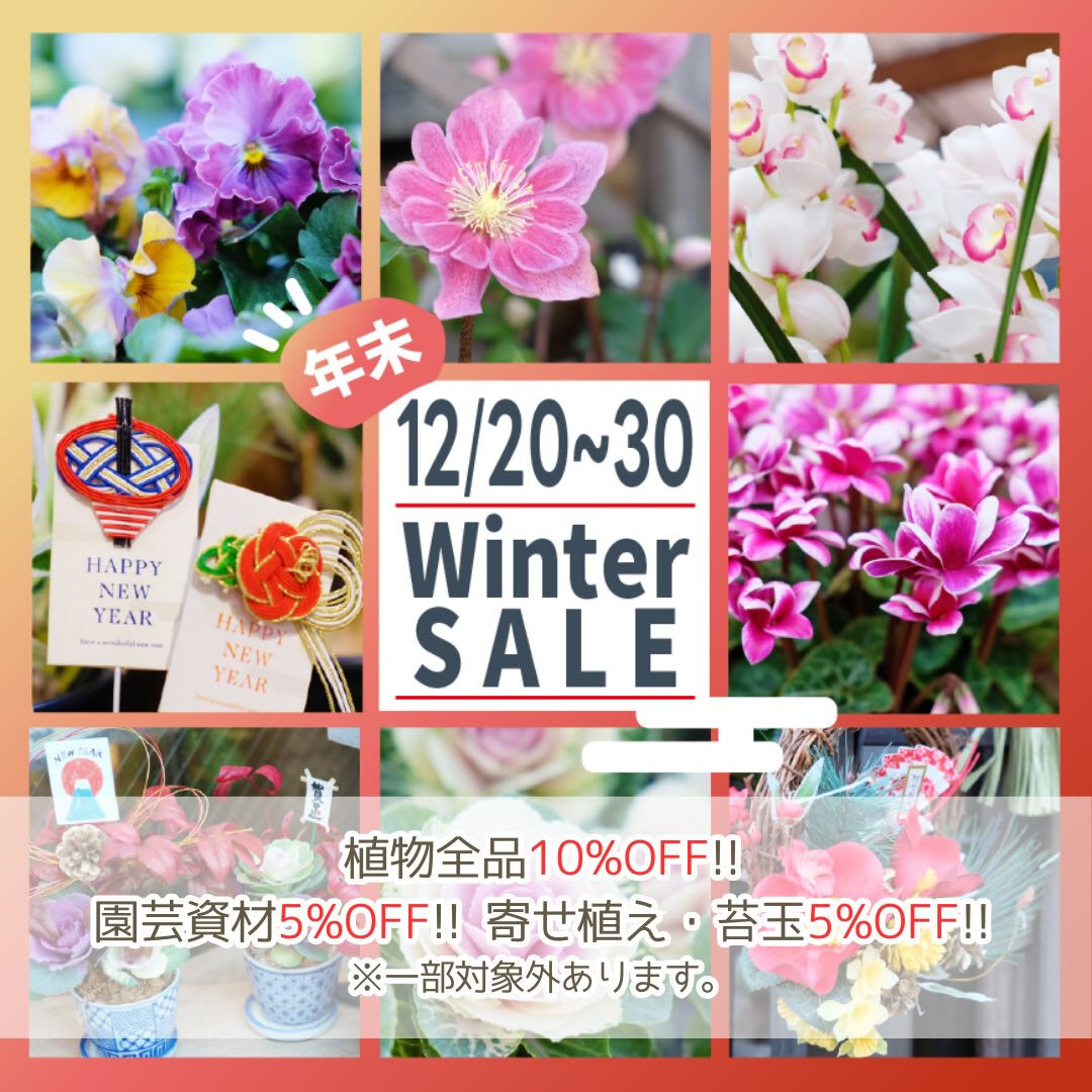 12/20(土)〜30(火)は冬の売り尽くしSALE✨