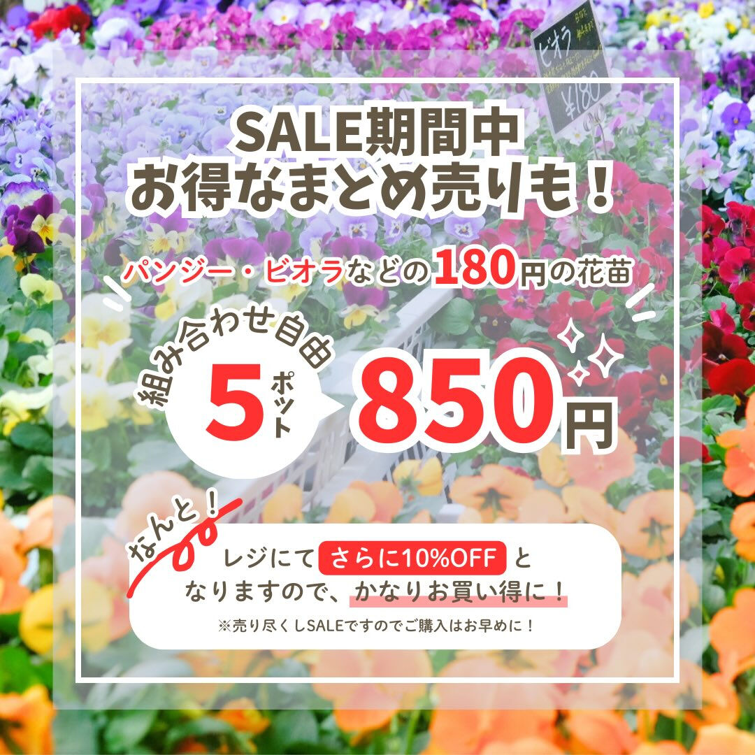 12/20(土)〜30(火)は冬の売り尽くしSALE✨