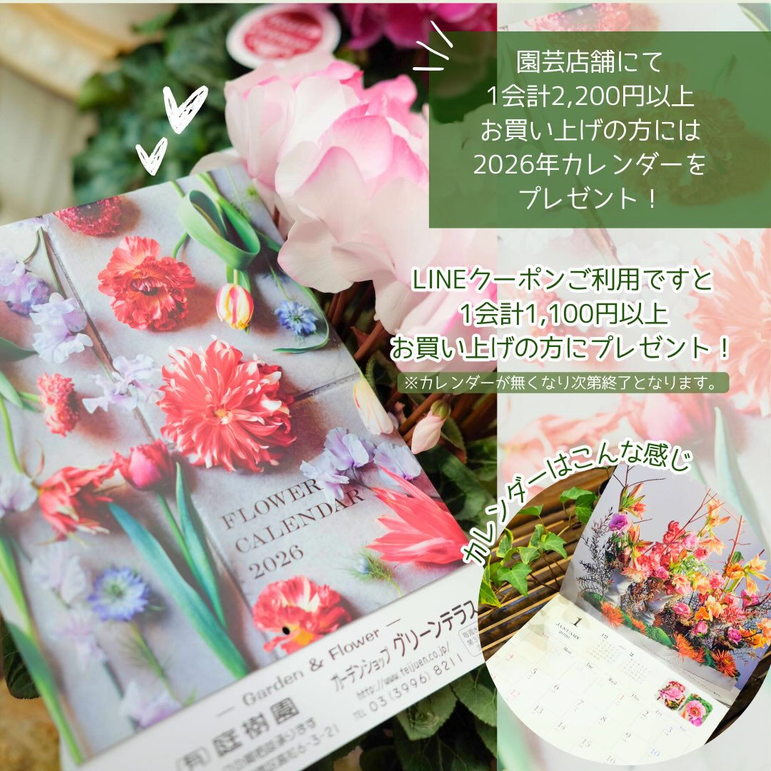 12/20(土)〜30(火)は冬の売り尽くしSALE✨