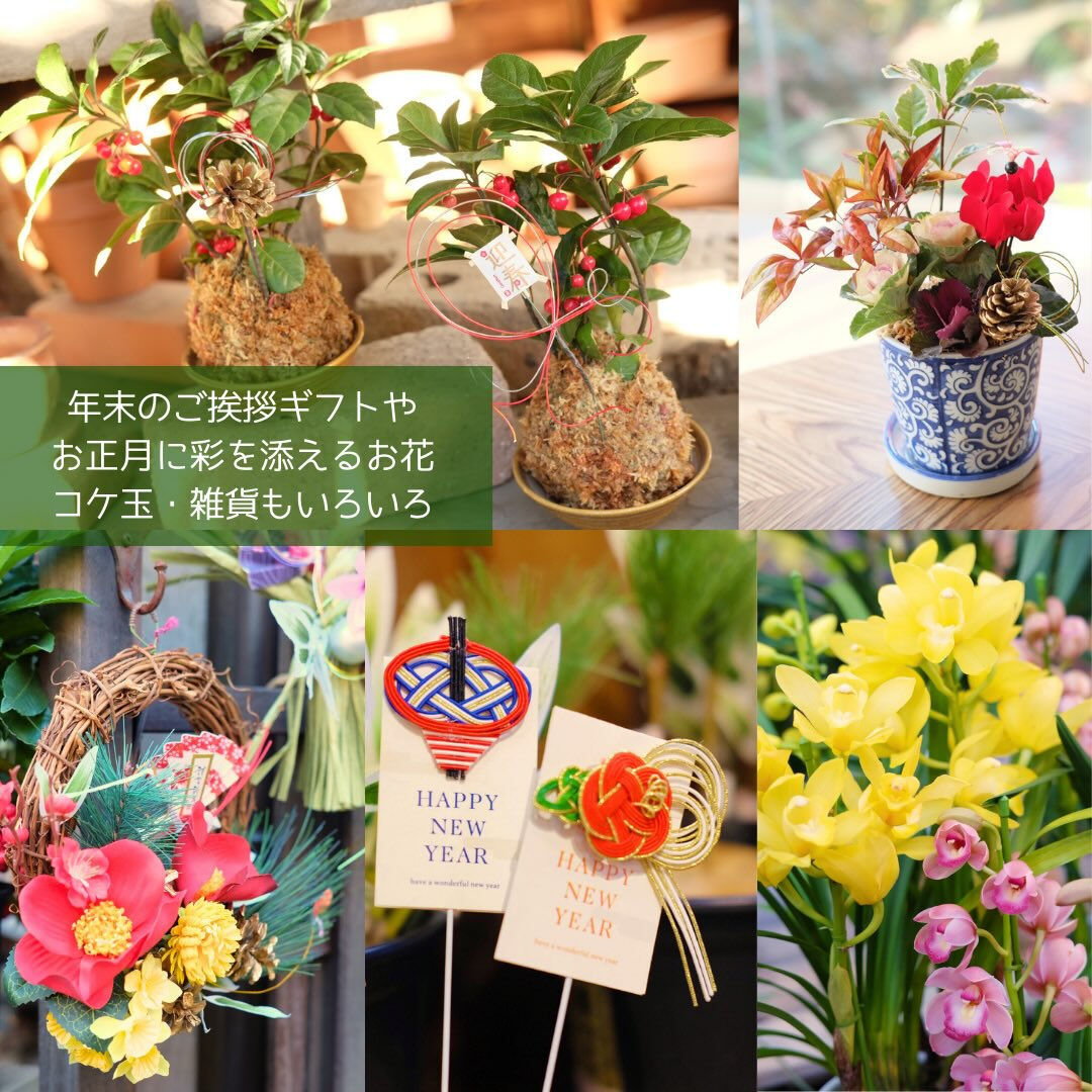12/20(土)〜30(火)は冬の売り尽くしSALE✨