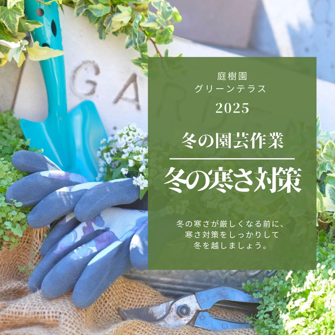 冬季の園芸作業は「冬の寒さ対策」です❄️