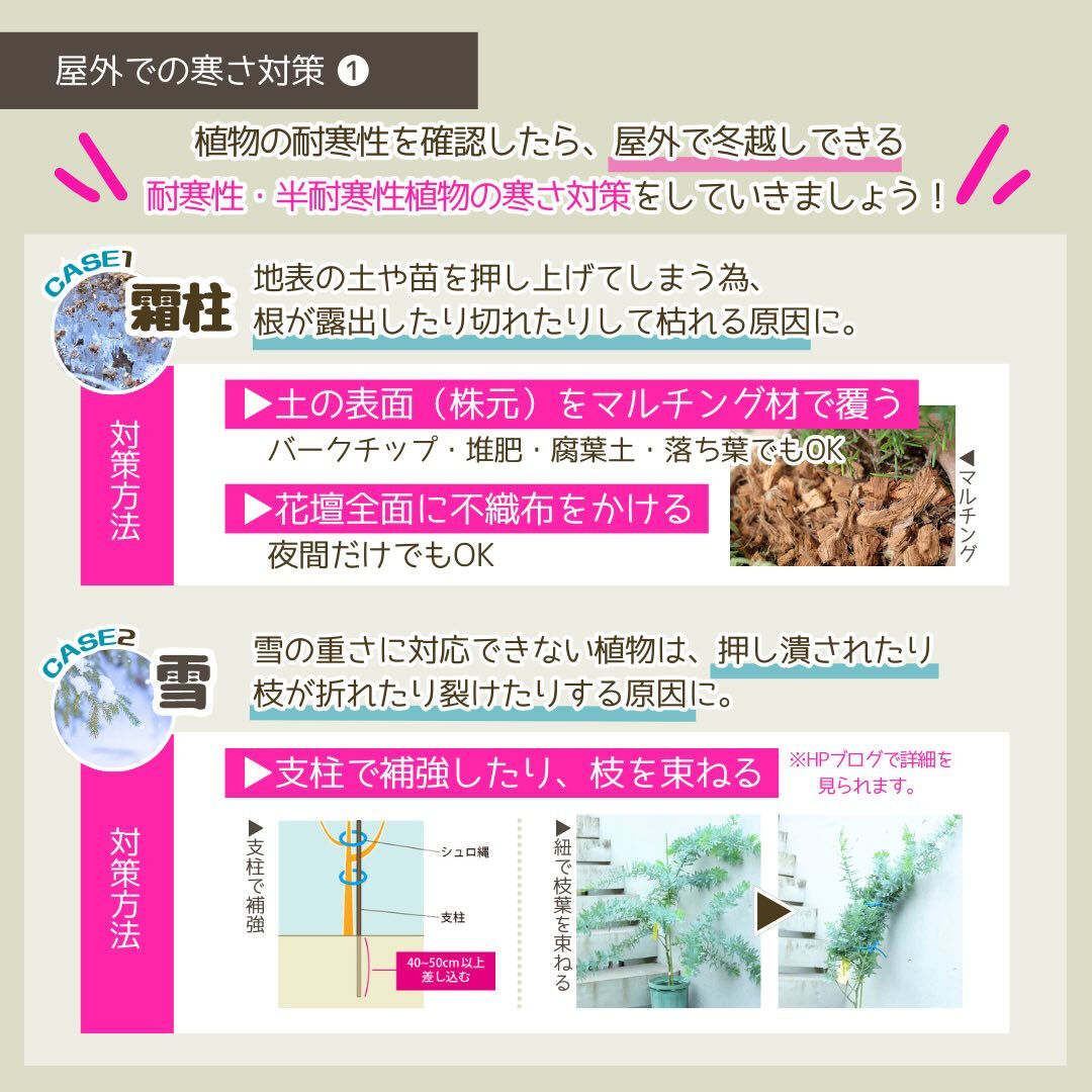 冬季の園芸作業は「冬の寒さ対策」です❄️