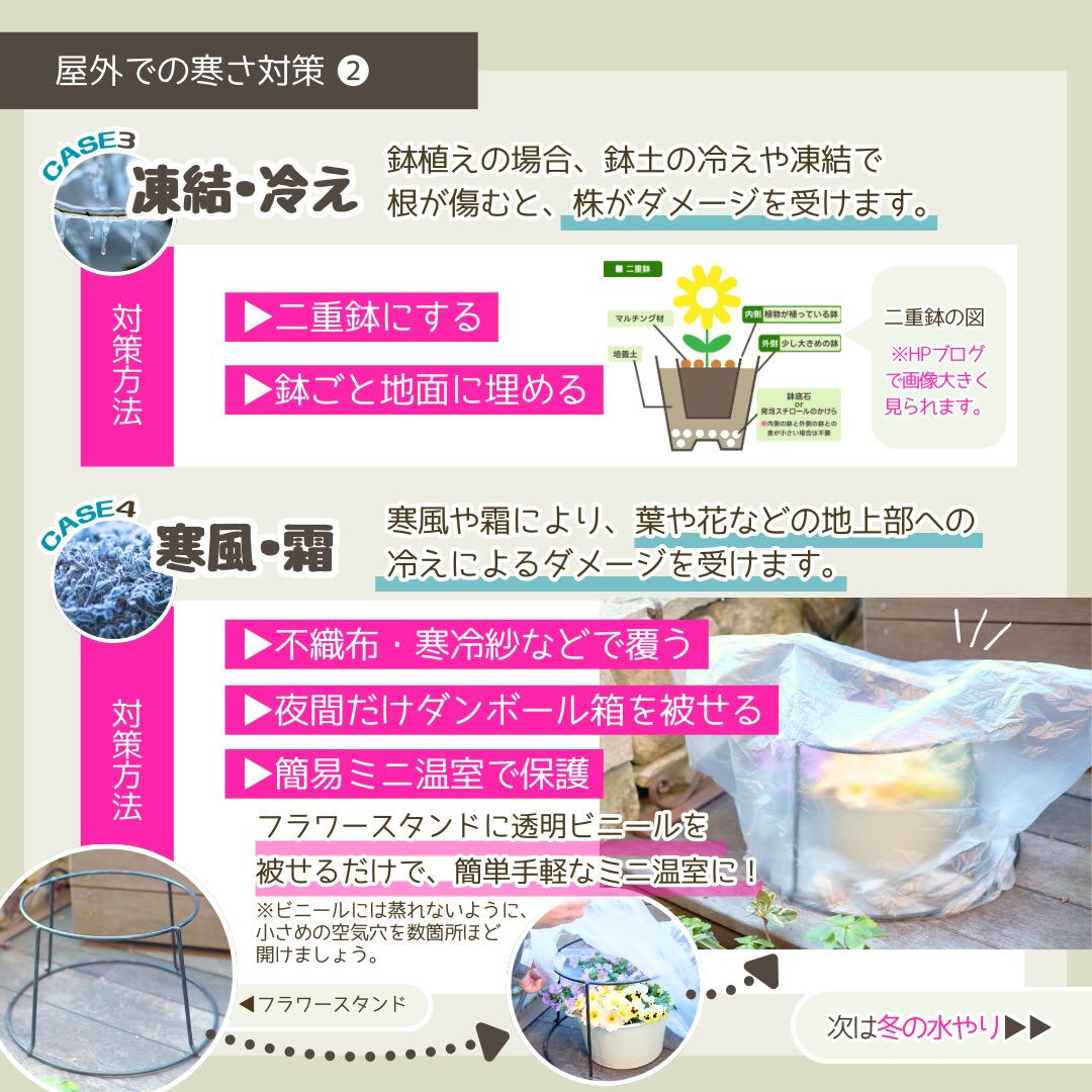 冬季の園芸作業は「冬の寒さ対策」です❄️