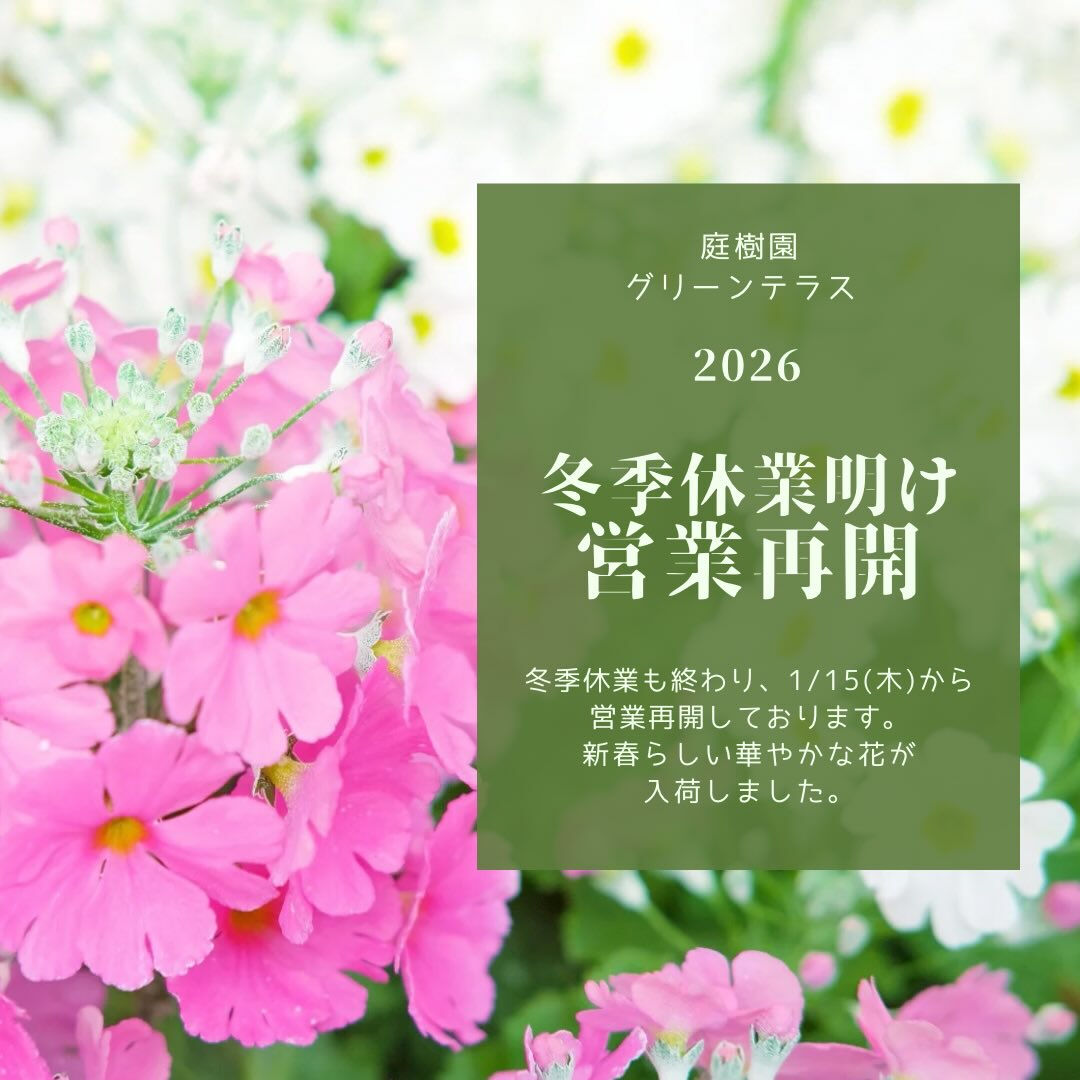 冬季休業も明けて、1月15日(木)より営業再開しております